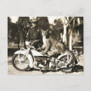 Zoek naar leeuwen briefkaarten Puma