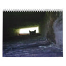 Recherche de noël 2009 Chat