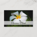 Recherche de frangipani cartes visite Floral