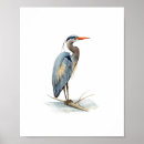 Zoek naar vogels posters Elegant