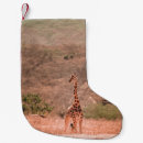 Recherche de girafes chaussette de noël Sauvage
