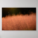 Zoek naar zuiden posters Natuur