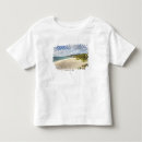 Recherche de les îles maurice tshirts Tropical