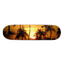Recherche de hawaï skateboards Tropical