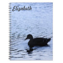 Zoek naar water fotografie Vogel