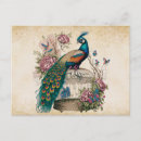 Zoek naar vogelkooi briefkaarten Dieren