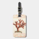 Recherche de coquille bagages étiquettes Vie marine