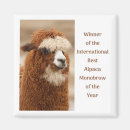 Zoek naar alpaca magneten Humor