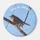 Recherche de rouge gorge magnets Animal