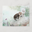 Recherche de chat asiatique cartes postales Chats