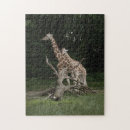 Zoek naar giraffe puzzels Baby