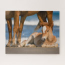 Zoek naar wild horse puzzels Mustang