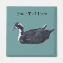 Recherche de fermes magnets Mignon