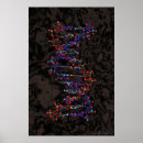 Recherche de biochimie posters Génétique