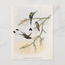 Zoek naar john gould briefkaarten 19th