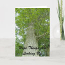 Zoek naar omhoog kijken kaarten Boom