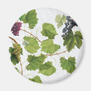 Recherche de iles magnets Vintage
