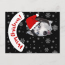 Recherche de animaux de noël cartes postales Neige