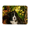 Recherche de chiffres magnets Dog