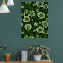 Recherche de hellebore posters Helleborus
