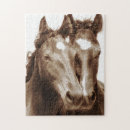 Recherche de chevaux puzzles Animal