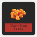 Recherche de habanero Piment
