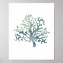 Recherche de underwater posters Coral reef