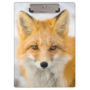 Recherche de renard porte blocs Faune