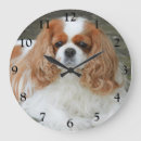 Recherche de cavalier horloges Animal