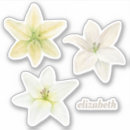 Recherche de fleur de lys Fleurs