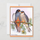 Zoek naar valken briefkaarten Illustratie