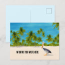 Zoek naar palm beach briefkaarten Tropisch eiland