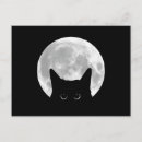 Recherche de chat noir drôle cartes postales Mignon