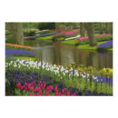 Zoek naar keukenhof tuin posters Loof