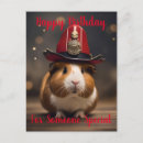 Zoek naar cavia briefkaarten Knaagdier