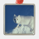 Recherche de renard arctique ornements Neige