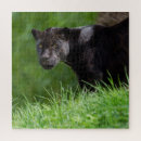 Zoek naar panter puzzels Jaguar