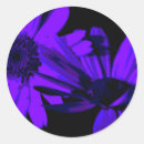 Recherche de gerberas autocollants Pour elle