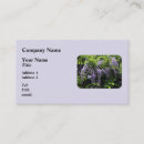 Recherche de glycine cartes visite Floral