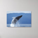 Recherche de mouvement art Horizontal