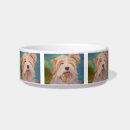 Recherche de portrait de chien Terrier