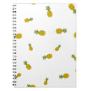 Recherche de ananas carnets Plage