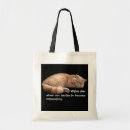 Recherche de chat de gingembre sacs Drôle