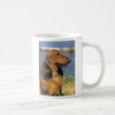 Recherche de chien teckel tasses Rouge