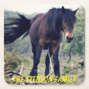 Recherche de chevaux bar Sauvage