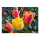 Zoek naar 7x5 posters Tuin