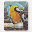Recherche de perroquet mignon tapis souris Perroquets