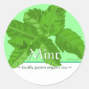 Recherche de minette autocollants Menthe