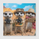 Recherche de suricate vœux cartes Mignon