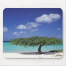 Recherche de aruba tapis souris Côte